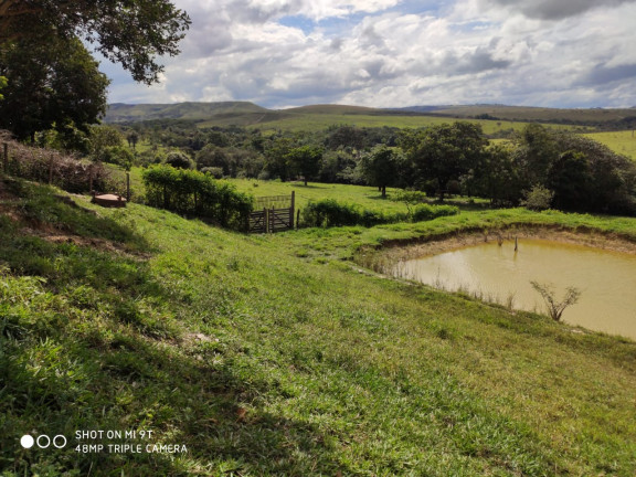Imagem Fazenda à Venda, 400.000m² em Girassol - Cocalzinho de Goiás Imagem Fazenda à Venda, 400.000m² em Girassol - Cocalzinho de Goiás