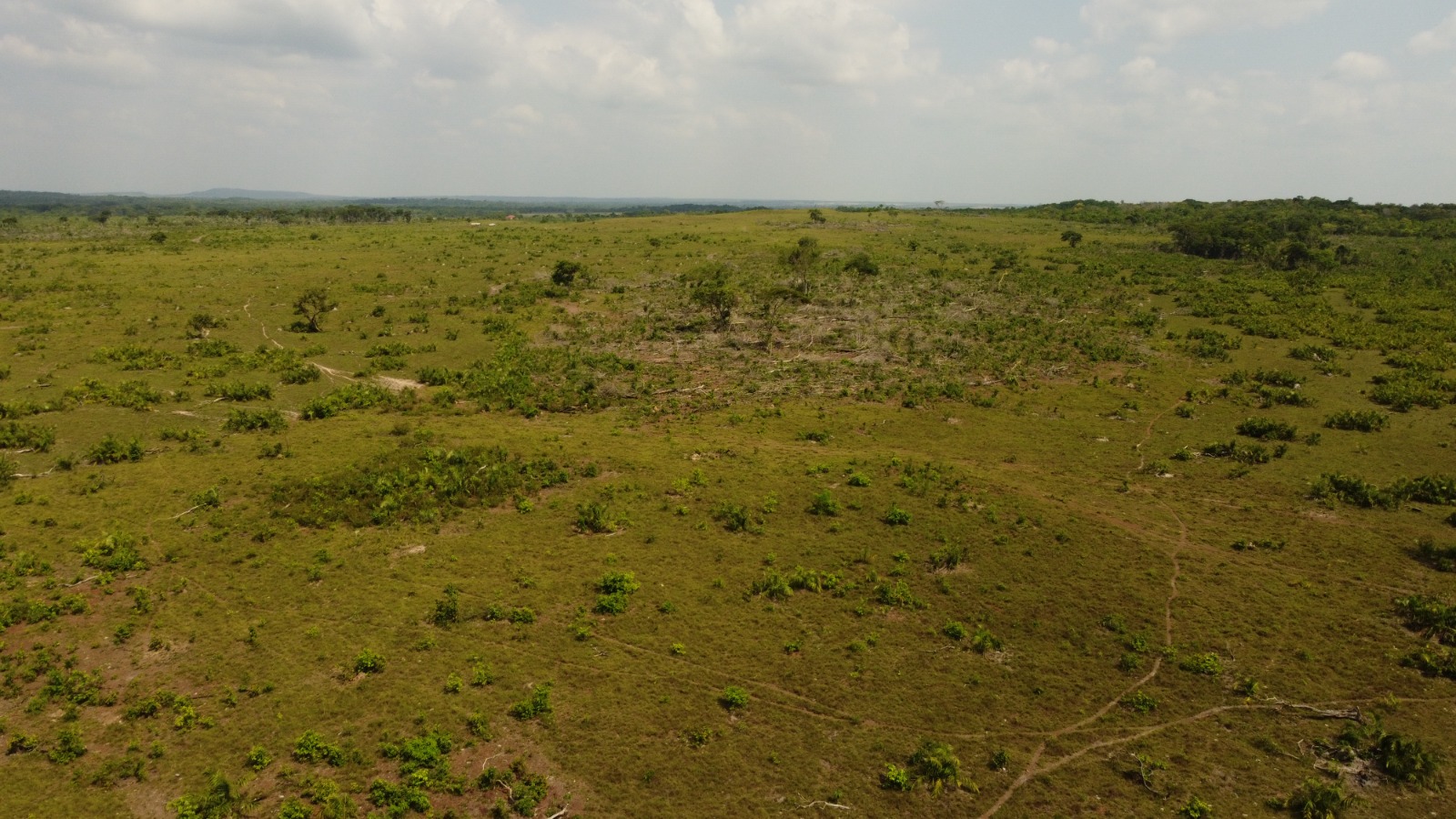 Imagem Fazenda à Venda, 523.000 HA em Mata Geral - Redenção Imagem Fazenda à Venda, 523.000 HA em Mata Geral - Redenção