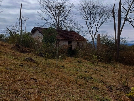 Imagem Fazenda à Venda, 459.000 HA em Área Rural de Valença - Valença Imagem Fazenda à Venda, 459.000 HA em Área Rural de Valença - Valença