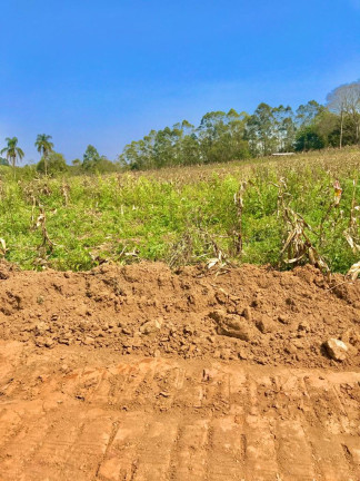 Imagem Terreno em Condomínio à Venda, 1.000 m² em Verava - Ibiúna Imagem Terreno em Condomínio à Venda, 1.000 m² em Verava - Ibiúna