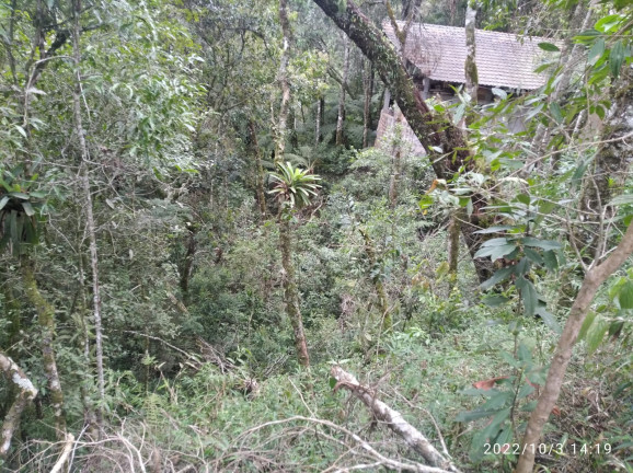 Imagem Terreno à Venda, 1.052 m² em Colinas do Imbiri - Campos do Jordão Imagem Terreno à Venda, 1.052 m² em Colinas do Imbiri - Campos do Jordão