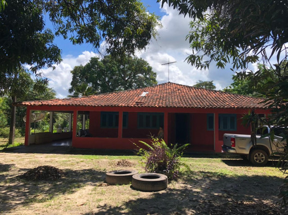 Imagem Fazenda à Venda ou Locação, 25.000 m² em Aurora - São Luís