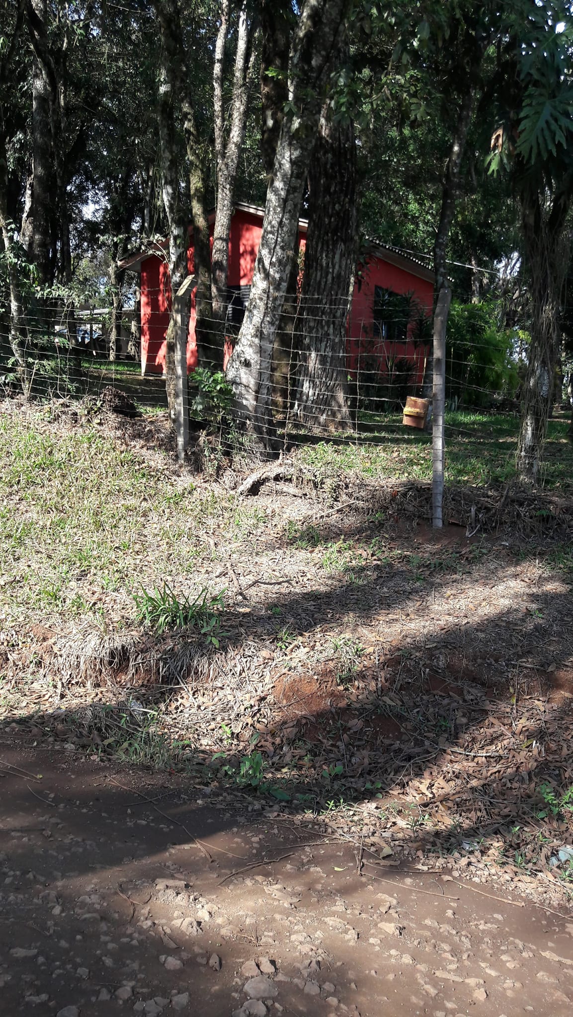 Imagem Terreno à Venda, 3.200 m²em Efapi - Chapecó
