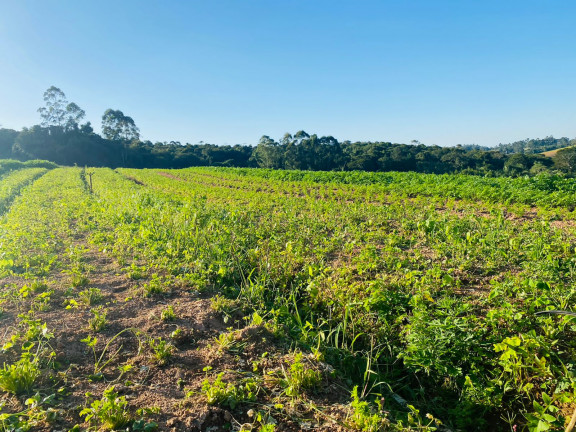 Imagem Terreno à Venda, 1.000 m² em Campo Verde - Ibiúna Imagem Terreno à Venda, 1.000 m² em Campo Verde - Ibiúna