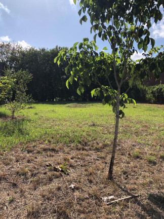Imagem Terreno em Condomínio à Venda, 600 m² em Bonança - MORENO