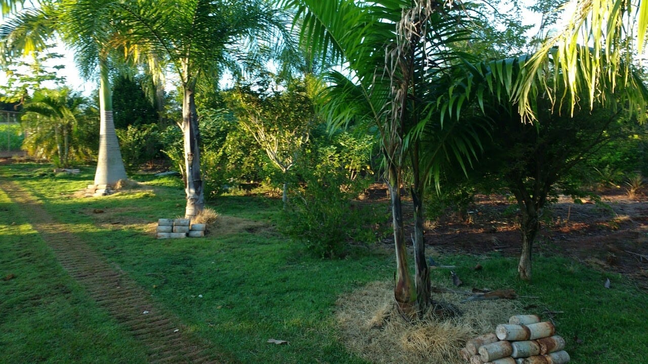 Imagem Chácara com 3 Quartos à Venda, 6.000 m²em ÁGUA DO JAU - Cambará