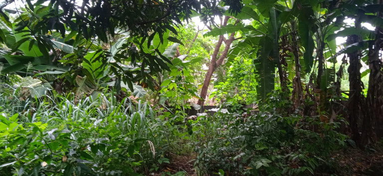 Imagem Terreno à Venda, 637 m²em Setor Sudoeste - Goiânia Imagem Terreno à Venda, 637 m²em Setor Sudoeste - Goiânia