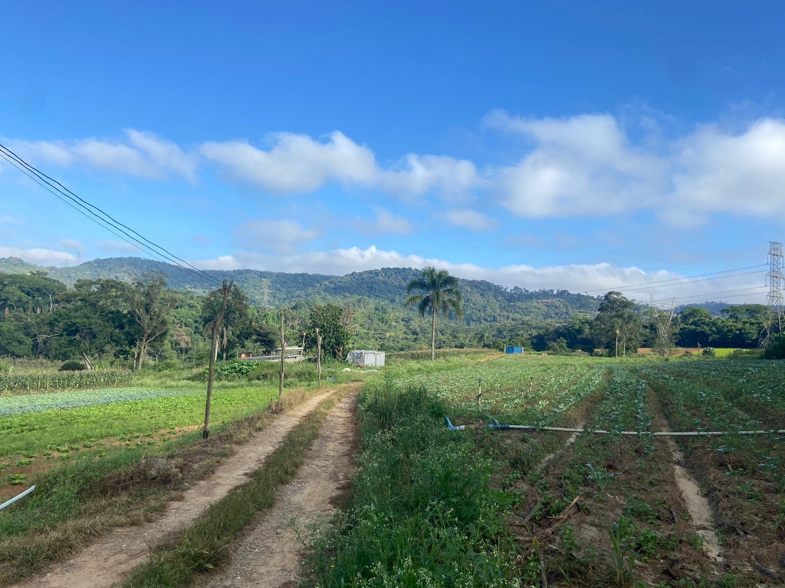 Imagem Terreno à Venda, 194 m²em Parque Santa Rosa - Suzano Imagem Terreno à Venda, 194 m²em Parque Santa Rosa - Suzano