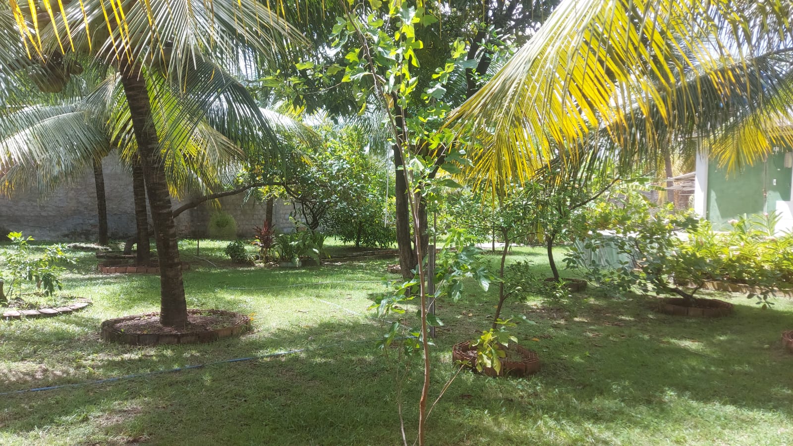 Imagem Casa com 4 Quartos à Venda, 450 m²em Fragoso - Olinda