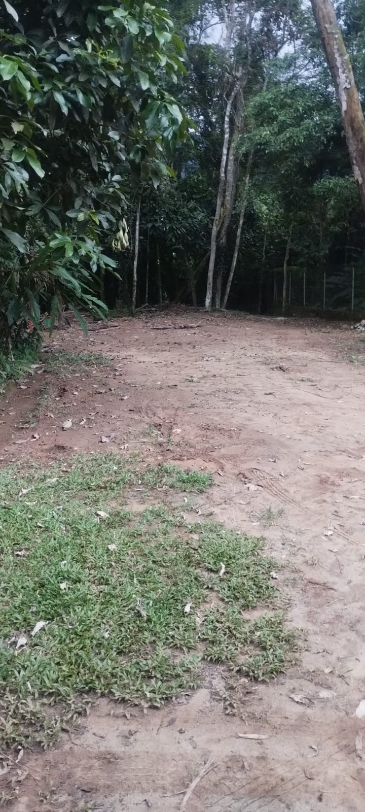 Imagem Terreno em Condomínio à Venda, 570 m² em Itamambuca - Ubatuba