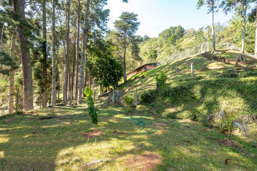 Imagem Chácara com 10 Quartos à Venda, 10 m²em Mury - Nova Friburgo