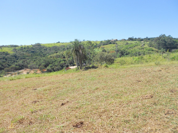 Imagem Chácara à Venda, 20.000 m² em Sousas - Campinas