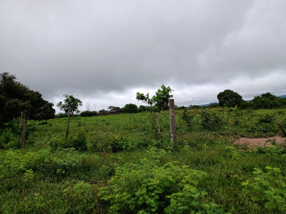 Imagem Fazenda à Venda, 4.870 HA em morumbi - campo grande Imagem Fazenda à Venda, 4.870 HA em morumbi - campo grande
