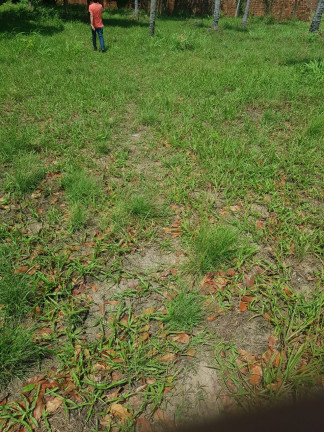 Imagem Terreno à Venda, 15.300 m² em Arçagy - São José de Ribamar