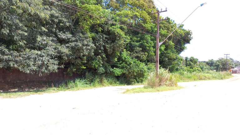 Imagem Terreno à Venda, 10.000 m² em Santíssimo - Santarém Imagem Terreno à Venda, 10.000 m² em Santíssimo - Santarém