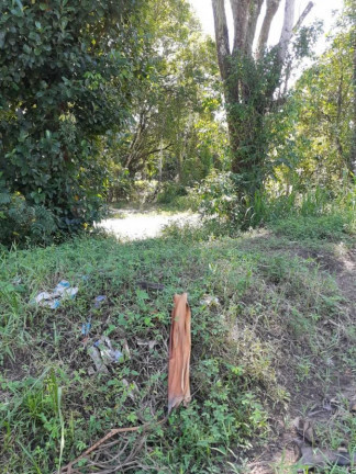 Imagem Terreno à Venda, em Marituba - Ananindeua Imagem Terreno à Venda, em Marituba - Ananindeua
