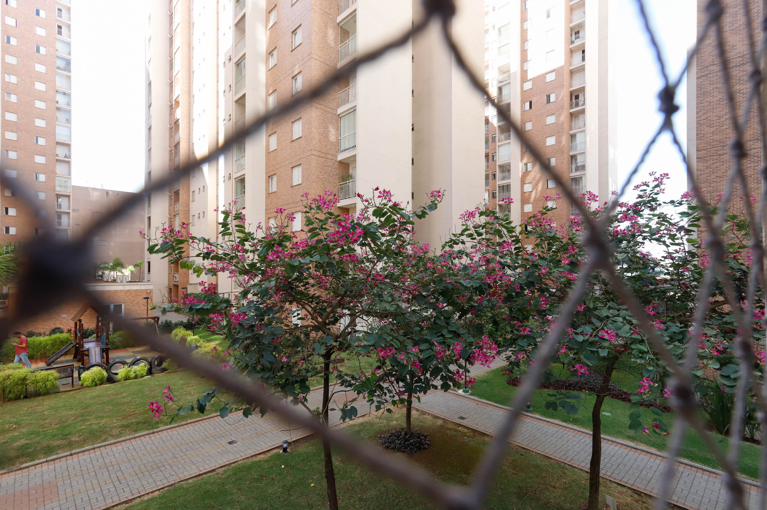 Imagem Apartamento com 3 Quartos à Venda, 77 m²em Jardim Flor da Montanha - Guarulhos Imagem Apartamento com 3 Quartos à Venda, 77 m²em Jardim Flor da Montanha - Guarulhos