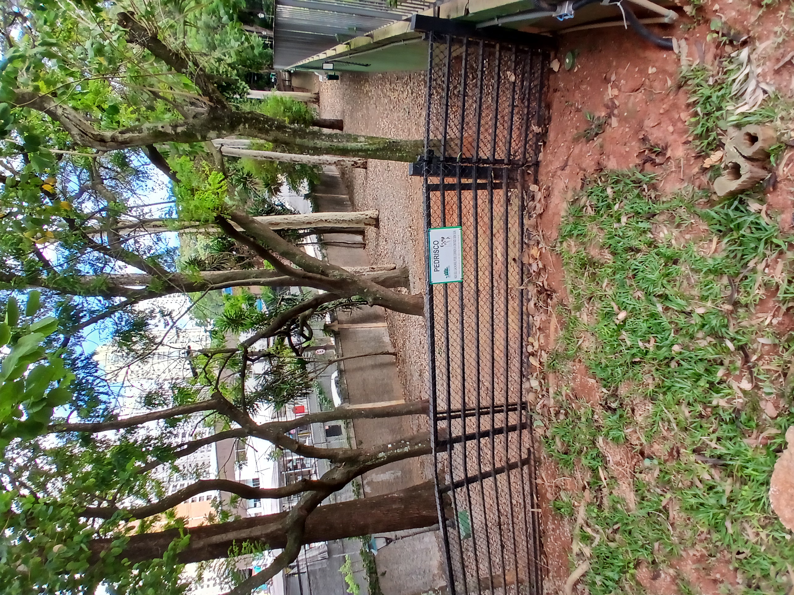 Imagem Apartamento com 2 Quartos à Venda, 73 m² em Vila Suzana - São Paulo Imagem Apartamento com 2 Quartos à Venda, 73 m² em Vila Suzana - São Paulo