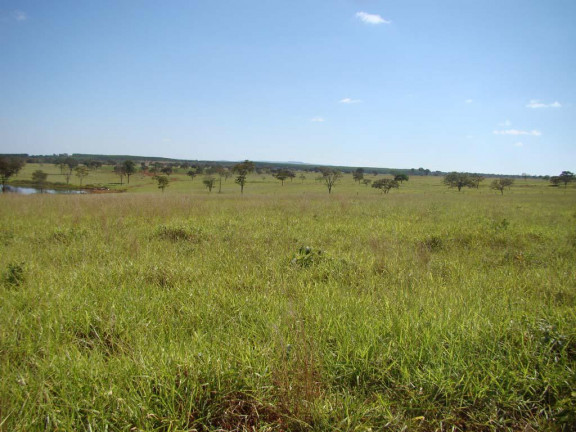 Imagem Fazenda à Venda, em zona rural - Engenheiro Navarro Imagem Fazenda à Venda, em zona rural - Engenheiro Navarro