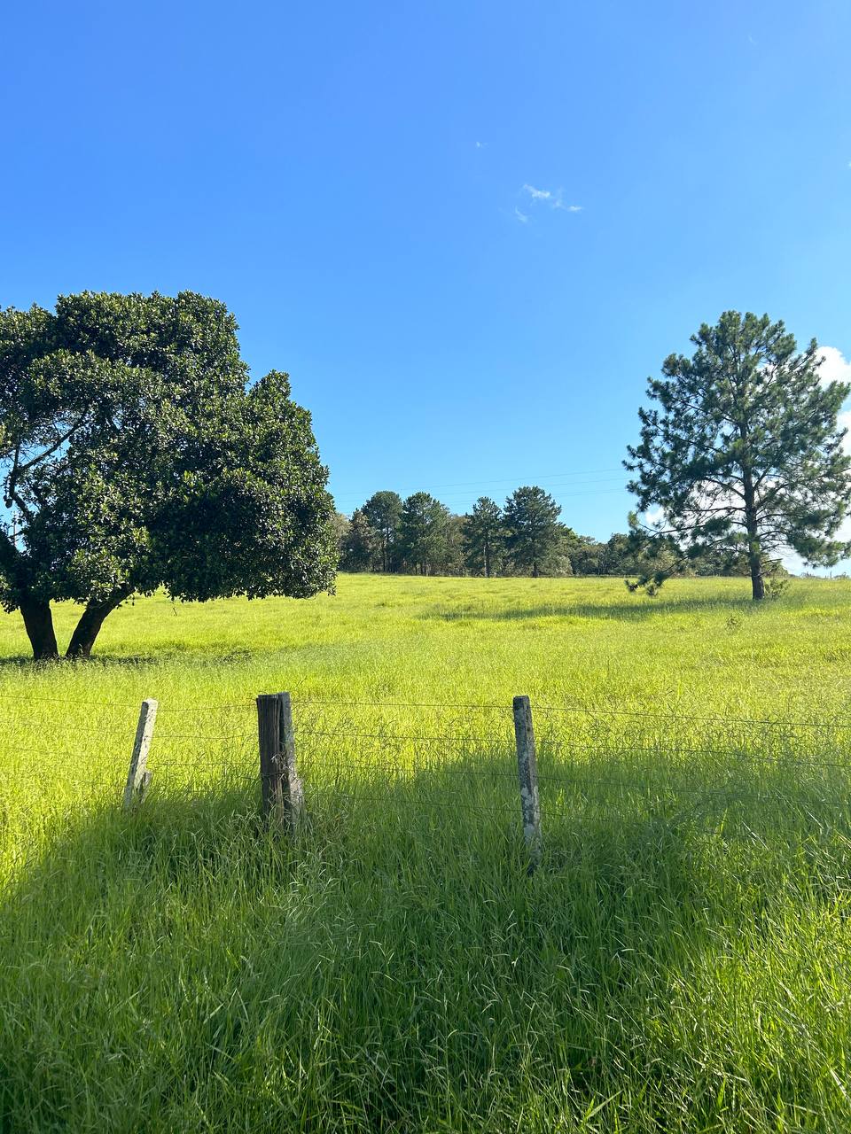 Imagem Terreno em Condomínio à Venda ou Locação, 500 m²em recreio verava - Ibiúna Imagem Terreno em Condomínio à Venda ou Locação, 500 m²em recreio verava - Ibiúna