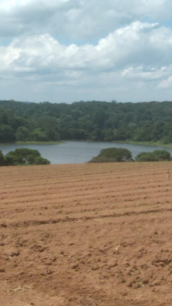 Imagem Fazenda à Venda, 6 Alq. SP em Valadão - Piedade Imagem Fazenda à Venda, 6 Alq. SP em Valadão - Piedade