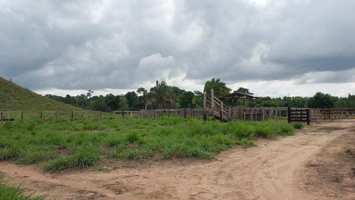 Imagem Fazenda à Venda, 9 Alq MGem Nova Marabá - Marabá Imagem Fazenda à Venda, 9 Alq MGem Nova Marabá - Marabá
