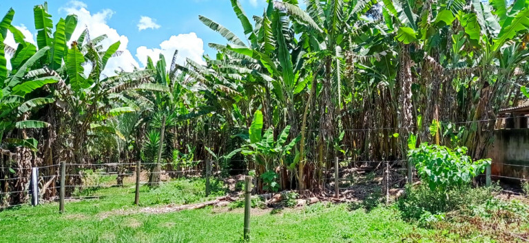 Imagem Terreno à Venda, 450.000 m² em Área Rural de Itabirito - Itabirito Imagem Terreno à Venda, 450.000 m² em Área Rural de Itabirito - Itabirito