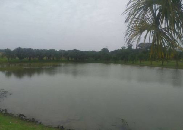 Imagem Terreno em Condomínio à Venda, em Bela Vista - Marituba Imagem Terreno em Condomínio à Venda, em Bela Vista - Marituba