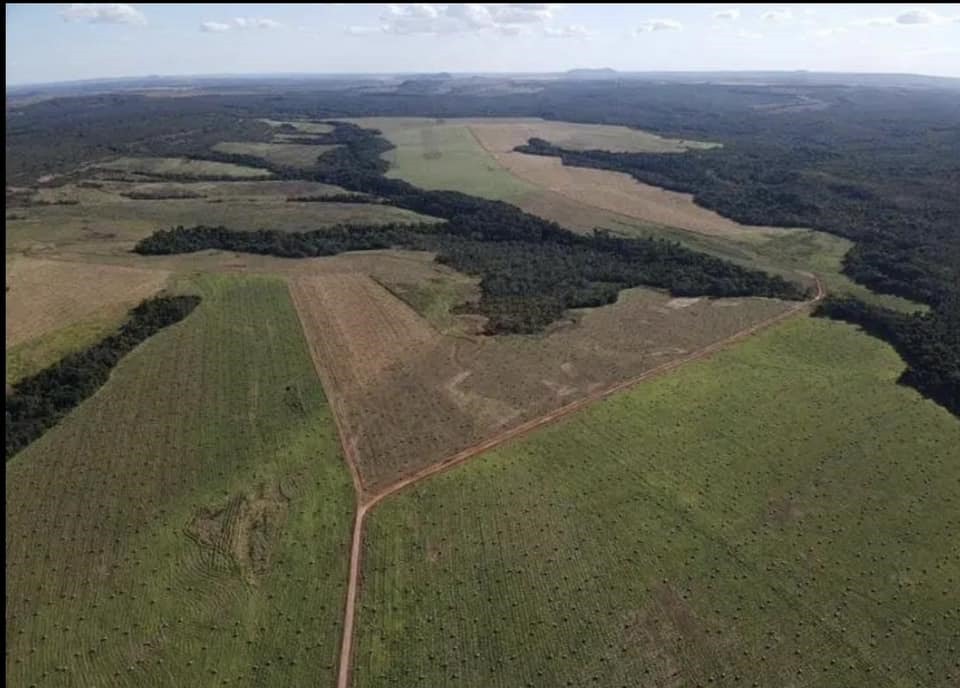 Imagem Fazenda à Venda, 2 HAem ZONA RURAL - General Carneiro Imagem Fazenda à Venda, 2 HAem ZONA RURAL - General Carneiro
