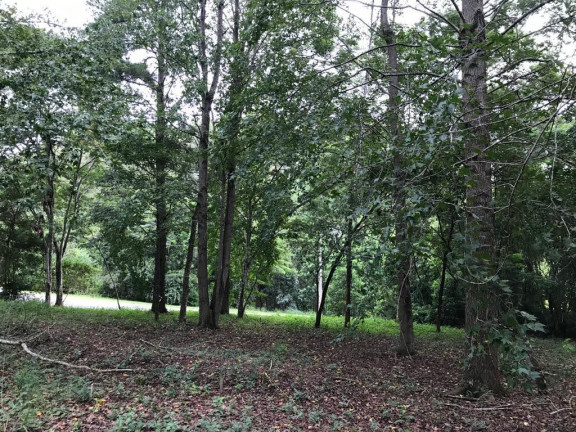 Imagem Terreno em Condomínio à Venda, 1.212 m² em Caxambu - Jundiaí Imagem Terreno em Condomínio à Venda, 1.212 m² em Caxambu - Jundiaí