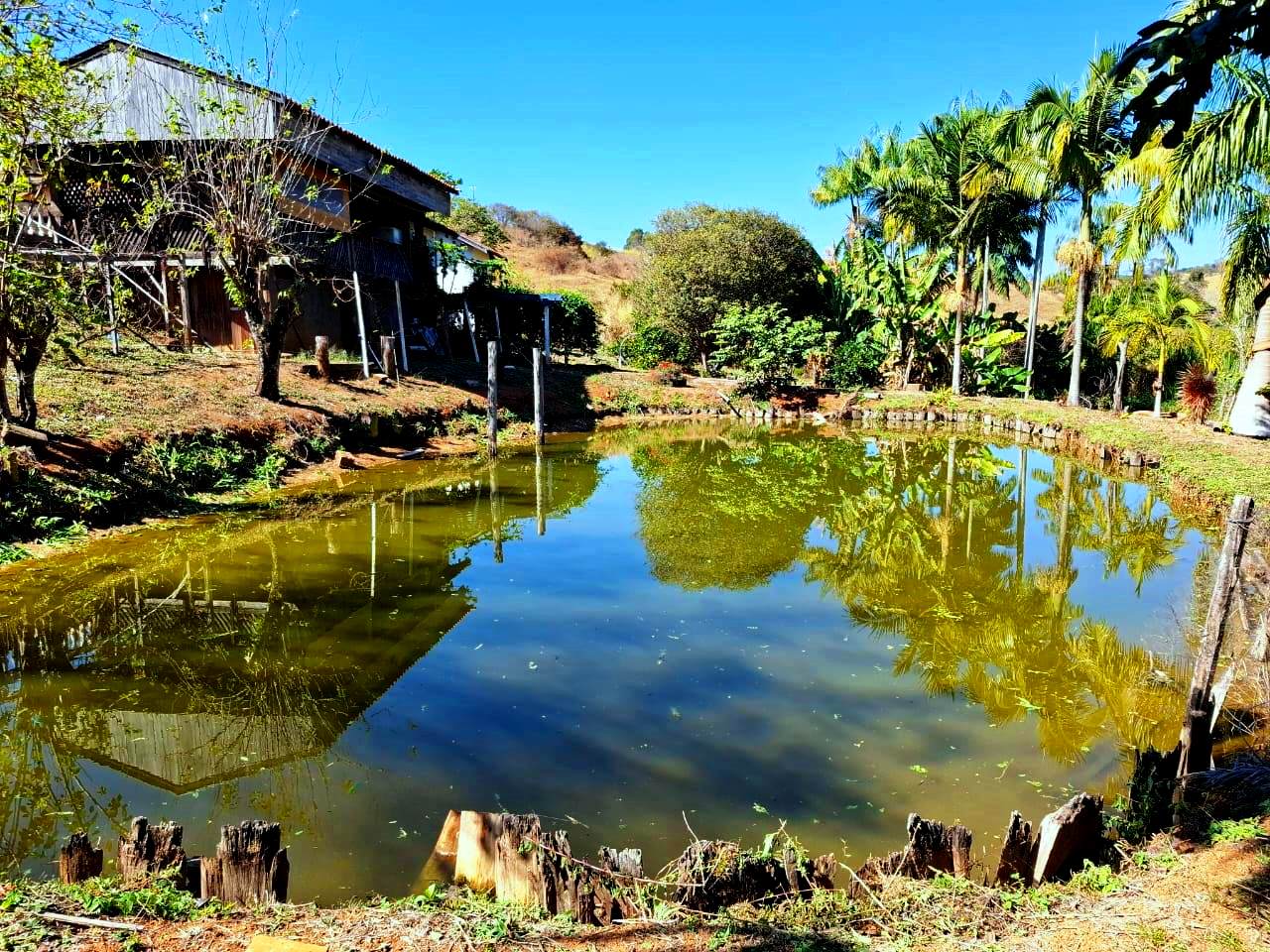 Imagem Fazenda à Venda, 36.200 m² em Centro - Caconde