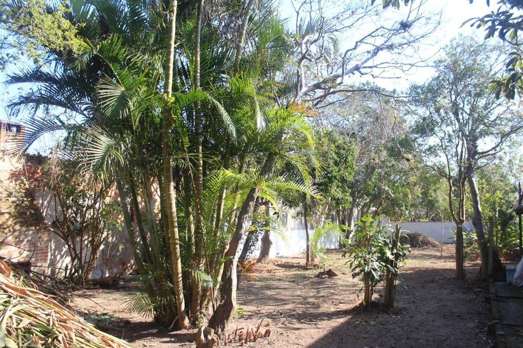 Imagem Terreno à Venda, 2 m²em Tapera da Base - Florianópolis