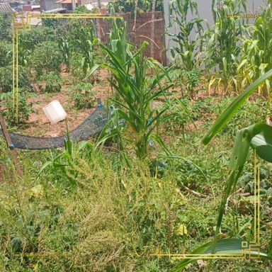 Imagem Terreno à Venda, 250 m² em Jardim Monte Mor - Botucatu Imagem Terreno à Venda, 250 m² em Jardim Monte Mor - Botucatu