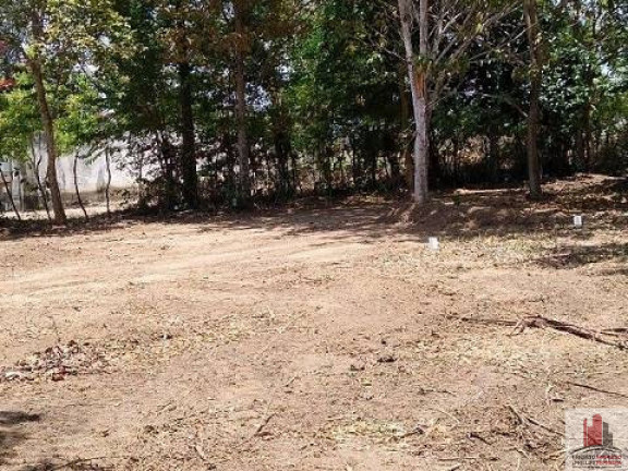 Imagem Terreno à Venda, 50.000 m² em Aldeia dos Camarás - Camaragibe Imagem Terreno à Venda, 50.000 m² em Aldeia dos Camarás - Camaragibe