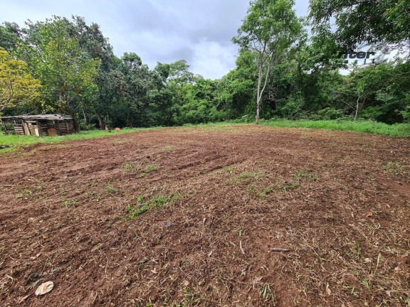 Imagem Fazenda à Venda, 24 HA em brazlandia - Brasília Imagem Fazenda à Venda, 24 HA em brazlandia - Brasília
