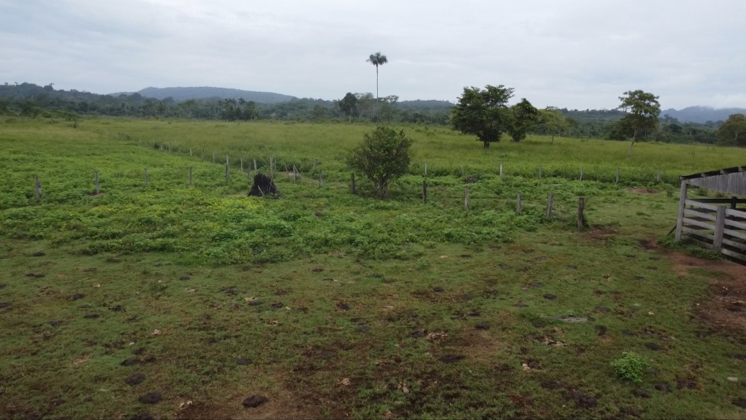 Imagem Fazenda à Venda, 90 m²em Centro - São Félix do Xingu