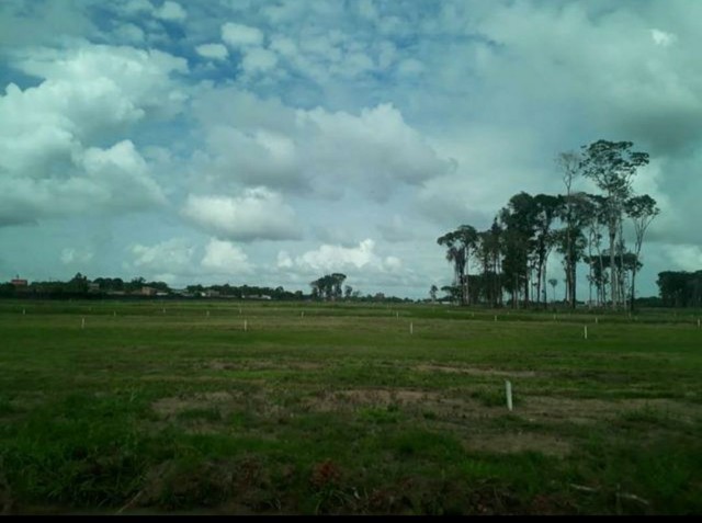 Imagem Terreno à Venda, 160 m²em Campina de Icoaraci (Icoaraci) - Belém Imagem Terreno à Venda, 160 m²em Campina de Icoaraci (Icoaraci) - Belém
