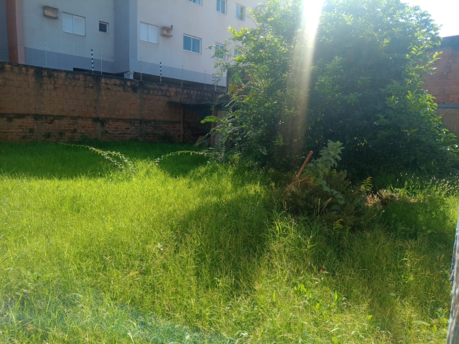 Imagem Casa com 2 Quartos à Venda, 138 m²em Jardim Santa Rosa I - São José do Rio Preto Imagem Casa com 2 Quartos à Venda, 138 m²em Jardim Santa Rosa I - São José do Rio Preto