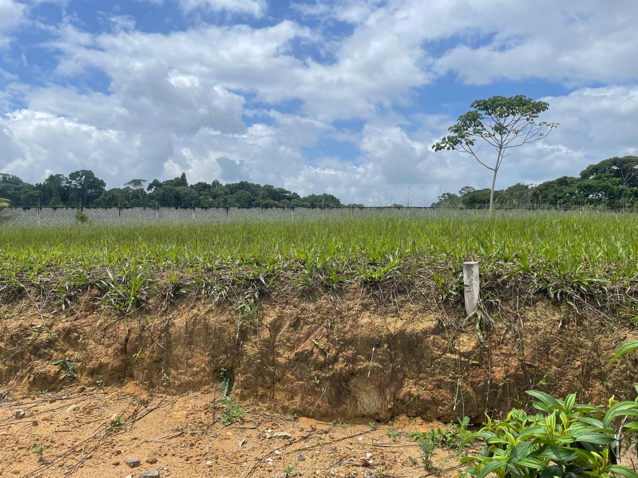 Imagem Terreno em Condomínio à Venda, 900 m² em - Paudalho Imagem Terreno em Condomínio à Venda, 900 m² em - Paudalho