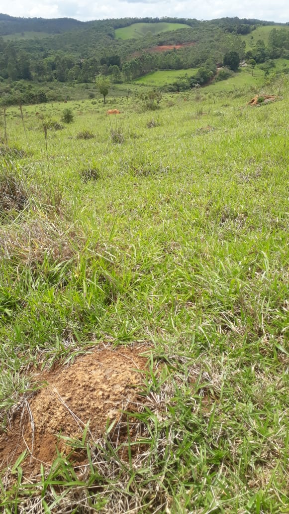 Imagem Fazenda à Venda, 414 HAem Centro - Barbacena Imagem Fazenda à Venda, 414 HAem Centro - Barbacena