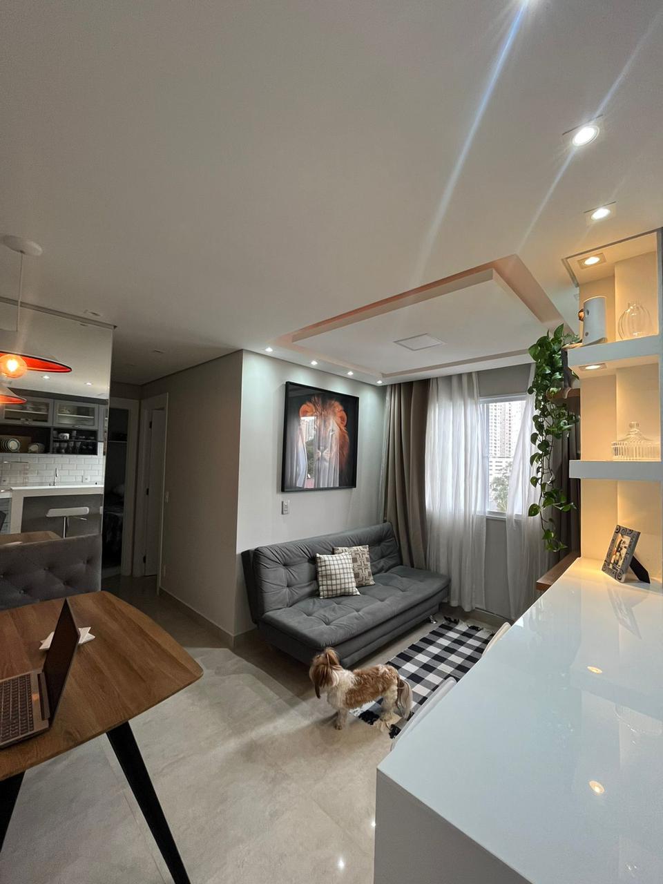 Imagem Apartamento com 2 Quartos à Venda, 40 m²em Parque Reboucas - São Paulo