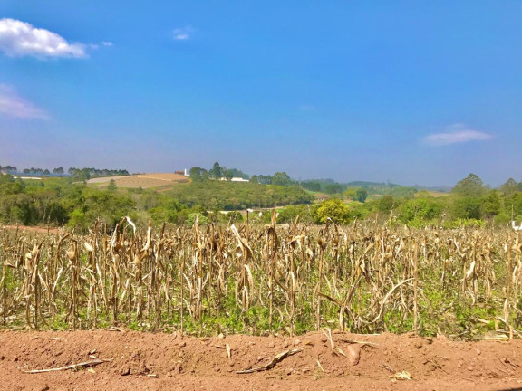 Imagem Terreno em Condomínio à Venda, 1.000 m² em Verava - Ibiúna Imagem Terreno em Condomínio à Venda, 1.000 m² em Verava - Ibiúna
