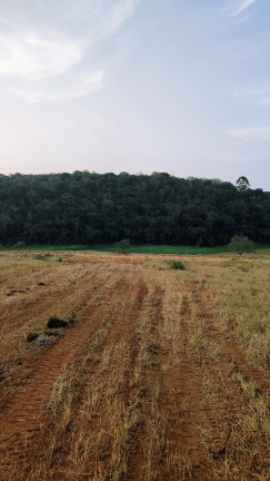 Imagem Terreno em Condomínio à Venda, 1.000 m² em Paruru - Ibiúna Imagem Terreno em Condomínio à Venda, 1.000 m² em Paruru - Ibiúna