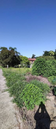 Imagem Terreno à Venda, 365 m² em Milanese - Criciúma Imagem Terreno à Venda, 365 m² em Milanese - Criciúma
