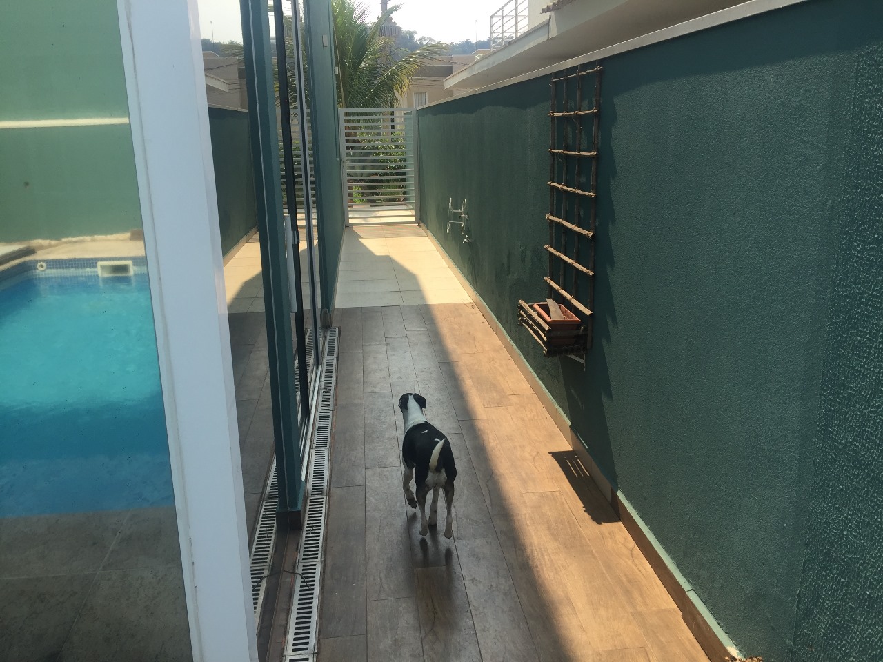 Imagem Casa de Condomínio com 3 Quartos à Venda, 220 m² em Residencial Ibi Aram - Itupeva