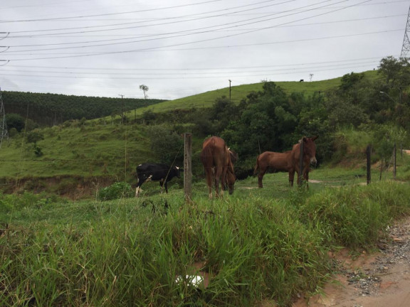 Imagem Terreno à Venda, 43.500 m² em Vila Andrade - Mogi das Cruzes