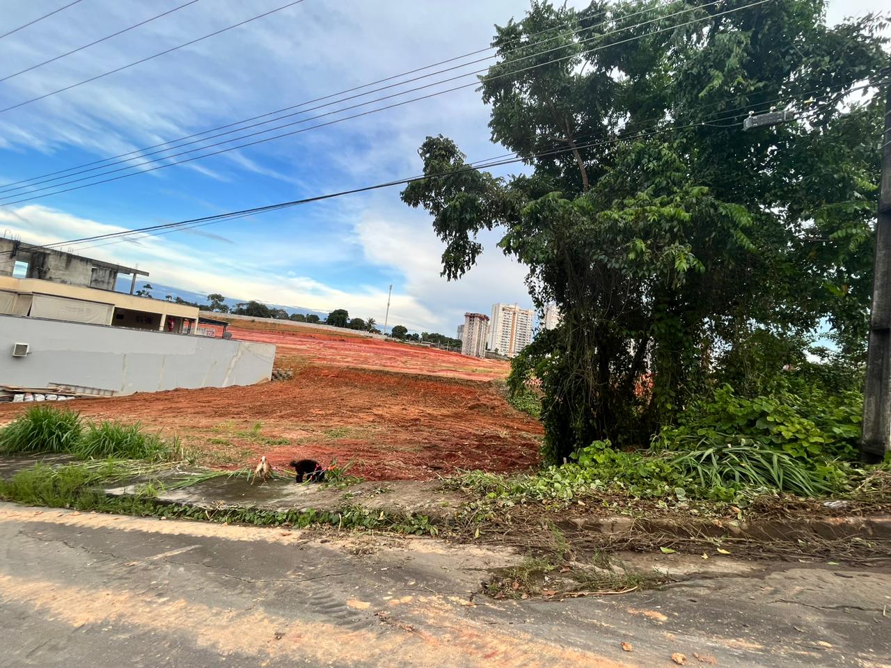Imagem Terreno à Venda, 312 m²em Ponta Negra - Manaus