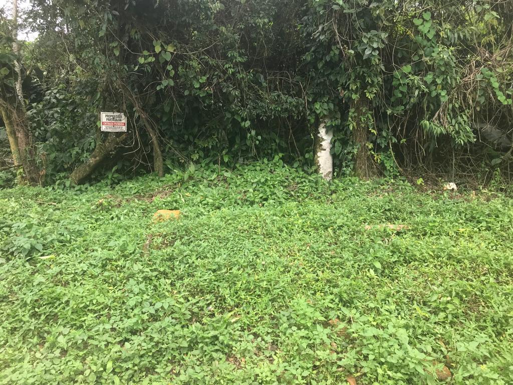 Imagem Terreno à Venda, 2 m²em Taquaral - Ubatuba Imagem Terreno à Venda, 2 m²em Taquaral - Ubatuba