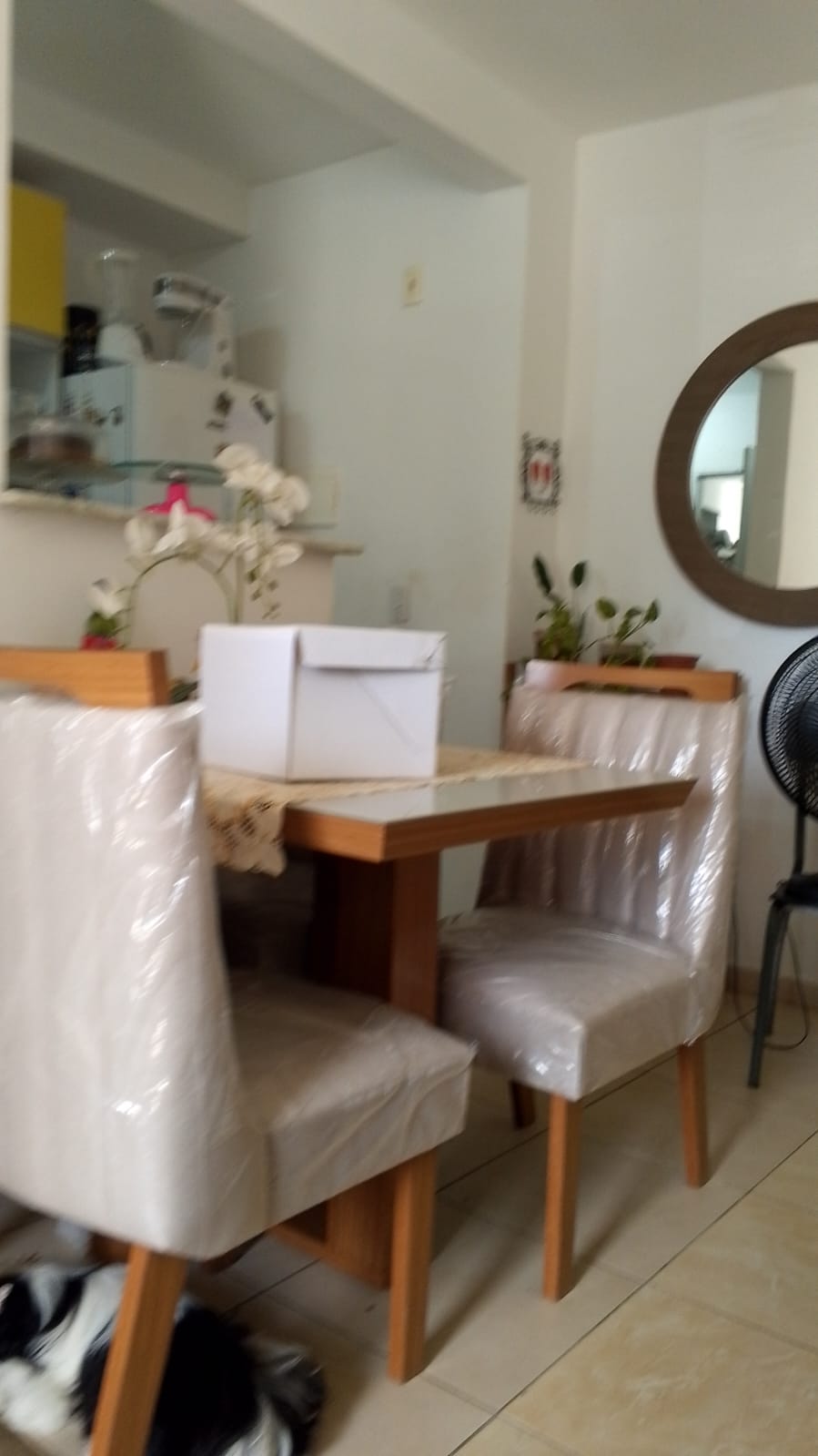 Imagem Apartamento com 2 Quartos à Venda, 47 m² em Nova Parnamirim - Parnamirim