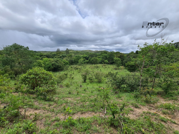 Imagem Fazenda à Venda, 24 HA em brazlandia - Brasília Imagem Fazenda à Venda, 24 HA em brazlandia - Brasília